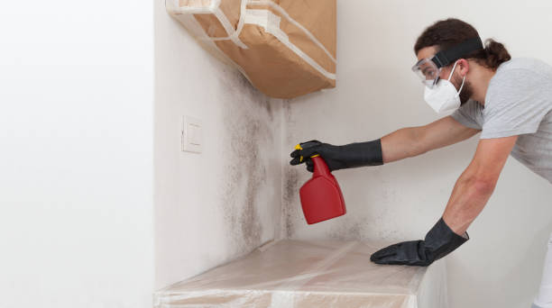 Professional Attic Mold Remediation technician working in Rolesville, NC