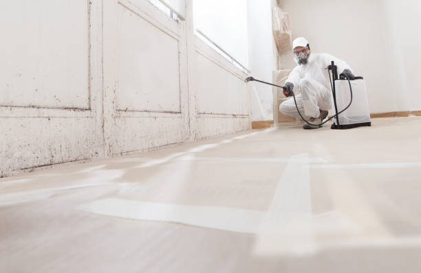 24/7 Emergency Attic Mold Remediation experts in Rolesville, NC